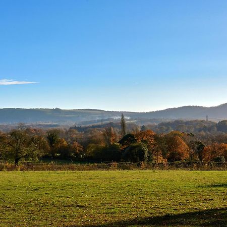 Garden Flat Near Goodwood With Stunning Views Apartamento Petersfield Exterior foto